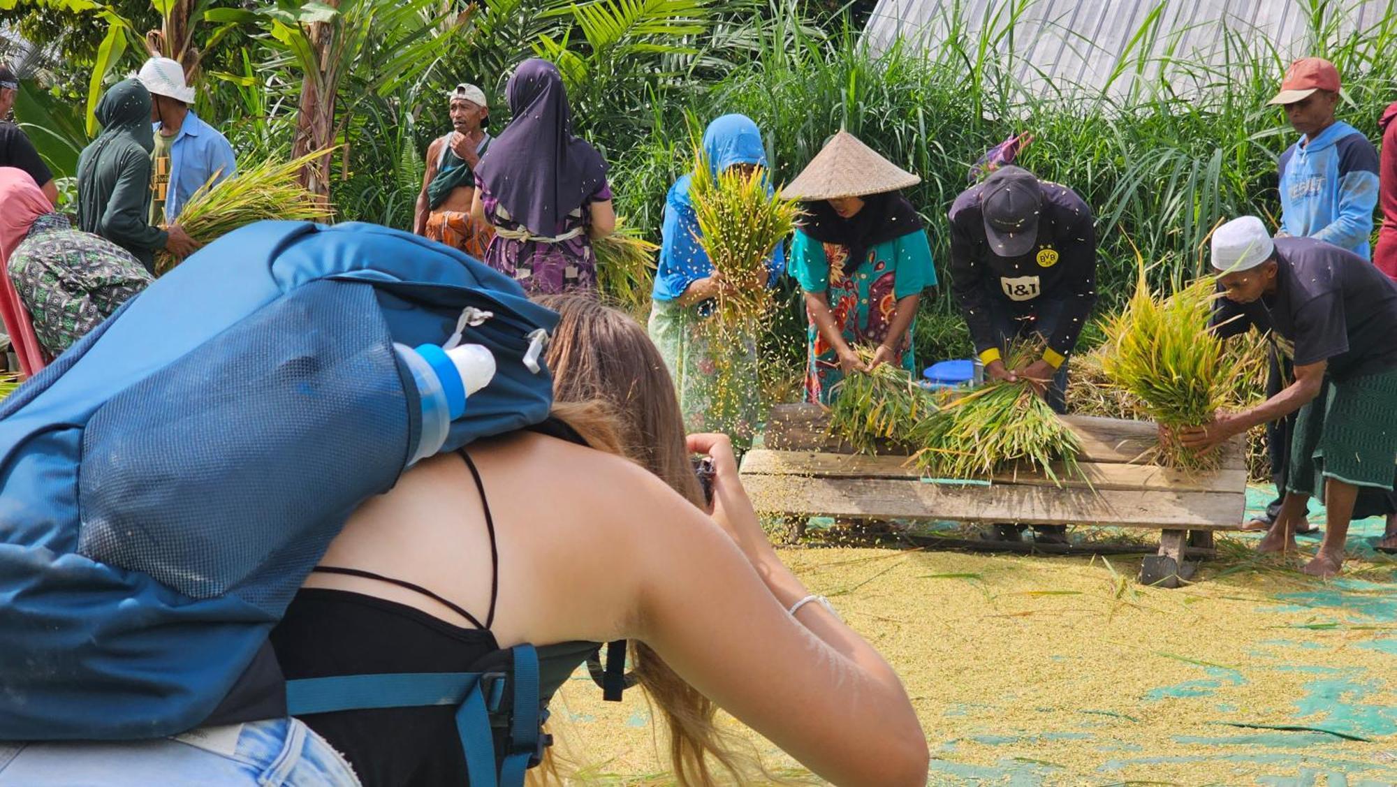 Hide And Seek เตเตบาตู ภายนอก รูปภาพ
